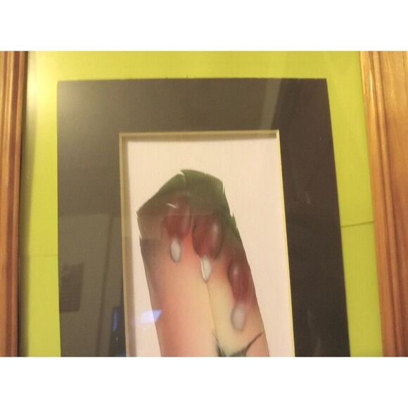 4) Moonlit Hummingbird Collection - Russ Abbott - Original Hand Painted Feathers - Picture 14 of 15